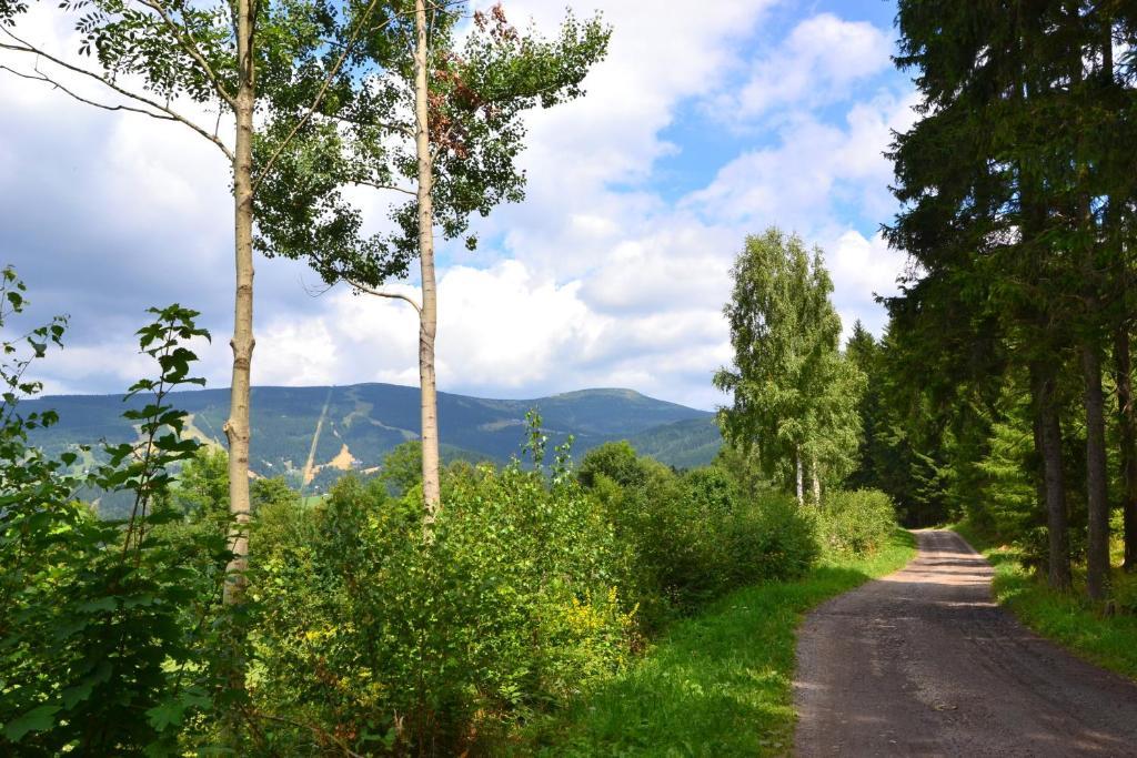 Apartmany Ski Lift Rokytnice nad Jizerou Eksteriør bilde